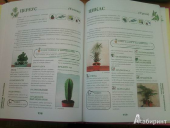 Иллюстрированная энциклопедия комнатных растений