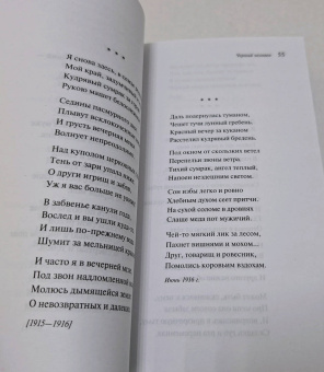 Сергей Есенин: Чёрный человек