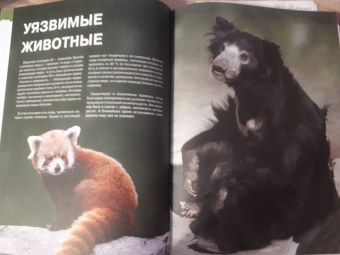 Скалдина, Слиж: Красная книга. Животные мира