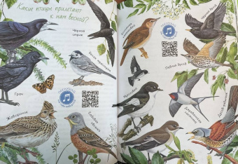 Николай Сладков: Лесные сказки