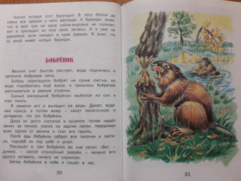 Геннадий Снегирев: Верблюжья варежка