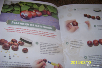 Алена Верхола: Чудеса из природных материалов. Делаем вместе с мамой