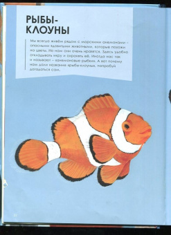 Олливье, Клаас: Лучшие родители