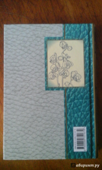 Лариса Рубальская: Случайный роман