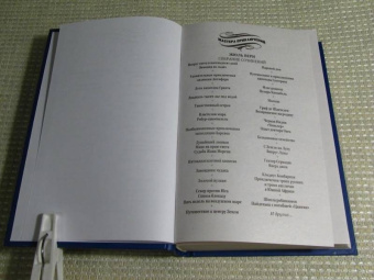 Жюль Верн: Школа робинзонов. Найденыш с погибшей "Цинтии"