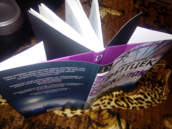 Себастьян Фитцек: Осколок