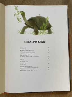 Олливье, Клаас: Животные-гиганты