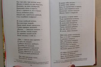 Шота Руставели: Витязь в тигровой шкуре