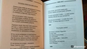 Игорь Северянин: Избранное. 1903-1915 гг