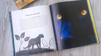 Мак Гагельдонк: Посмотри, как я могу! Чудеса животного мира