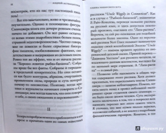 Андрей Аствацатуров: И не только Сэлинджер:  десять опытов прочтения английской и американской литературы
