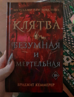 Бриджит Кеммерер: Клятва безумная и смертельная