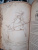 Шон Коупленд: World of WarCraft. Энциклопедия Азерота. Калимдор