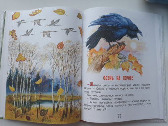 Николай Сладков: Сказки лесной опушки