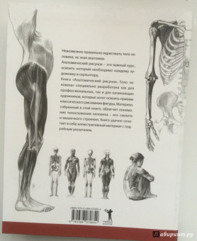 Суньоги, Фехер: Анатомический рисунок. Тело человека