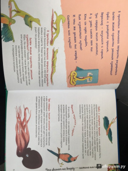 Альтер, Кан: Удивительная генетика