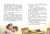 Анна Купырина: Эта прекрасная жизнь! Книга с пользой