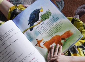 Фридерун Райхенштеттер: Лисёнок и другие звери в лесу. Познавательные истории