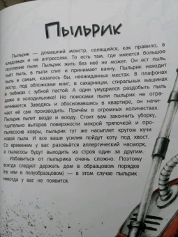 Анна Никольская: Книга чуДОМищ