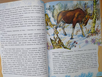 Тамара Николаева: Там, на неведомых дорожках...