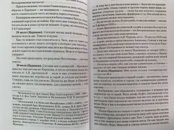 фон Лампе Алексей Александрович: Мой дневник. 1919. Пути верных