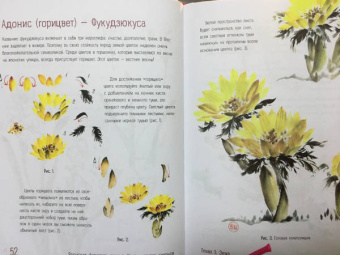 Александра Васильева: Японская живопись суми-э. Цветы четырех сезонов. Пишем растения тушью