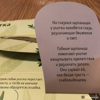 Боманн, Дюпон: Животные снаружи и внутри