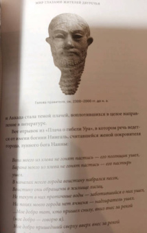 Юлия Чмеленко: Шумерские мифы. От Всемирного потопа и эпоса о Гильгамеше до бога Энки и птицы Анзуд
