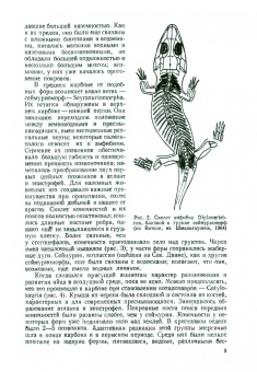 Наумов, Карташев: Зоология позвоночных. Часть 2. Пресмыкающиеся, птицы, млекопитающие