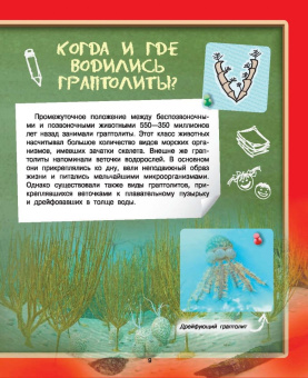 Дмитрий Туровец: Где? Когда? Как?