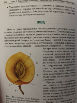 Барабанов, Зайчикова: Ботаника. Учебник