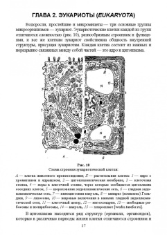 Сахарова, Сахарова: Общая микробиология и общая санитарная микробиология. Учебное пособие. СПО