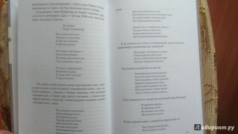 Игорь Северянин: Уснувшие весны. Критика. Мемуары. Скитания