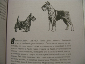 Элизабет Томас: Собаки и тайны, которые они скрывают. Легендарный бестселлер о сознании, поведении и привычках