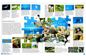 Большая детская иллюстрированная энциклопедия