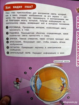 Почему? Как? Новая книга вопросов и ответов