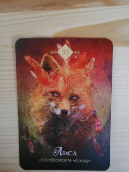 Колетт Барон-Рид: The Spirit Animal Oracle. Духи животных. Оракул, 68 карт и руководство в подарочном оформлении