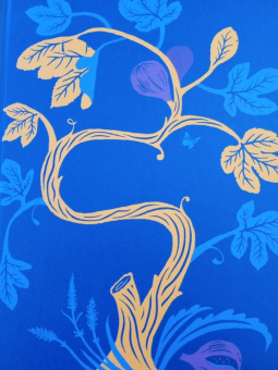 Элиф Шафак: Остров пропавших деревьев