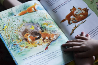 Фридерун Райхенштеттер: Лисёнок и другие звери в лесу. Познавательные истории