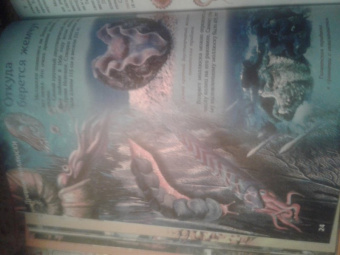 Евстигнеев, Ященко: Кто на свете старше динозавра... или Почему киты живут в воде, а слоны на суше?