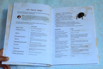 Михаил Вишневский: Грибы. Атлас-определитель