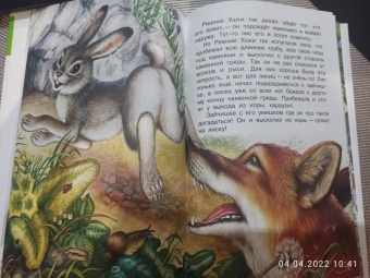 Николай Сладков: Лесные сказки