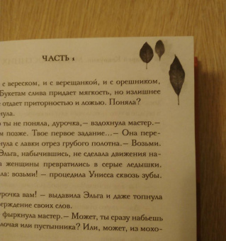 Андрей Кокоулин: Мастер осенних листьев