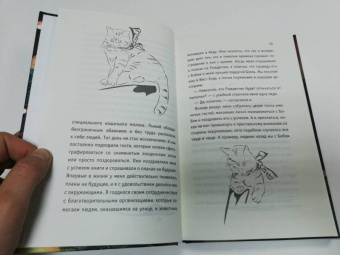 Джеймс Боуэн: Подарок уличного кота Боба