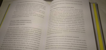 Сайп, Збиерски: Разум под контролем. Неочевидные стратегии достижения целей