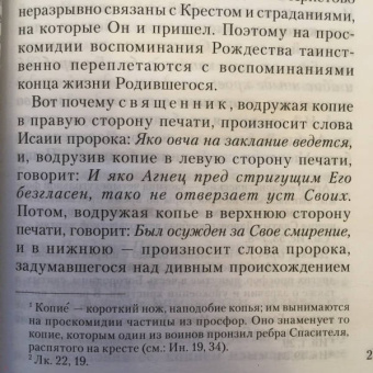 Сергий Священноисповедник: Объяснение Божественной Литургии