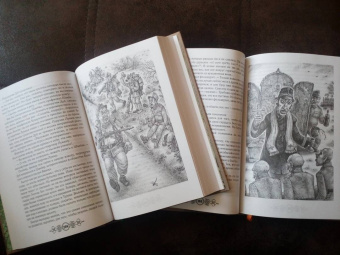 Ярослав Гашек: Похождения бравого солдата Швейка (комплект из 2-х книг)