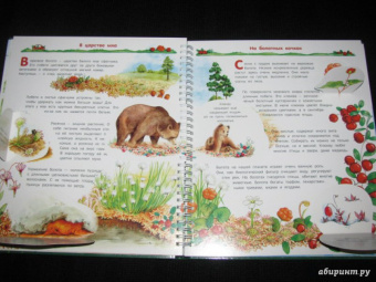 Татьяна Елумеева: Растения