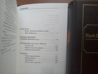 Юрий Домбровский: Избранное. В 2-х томах