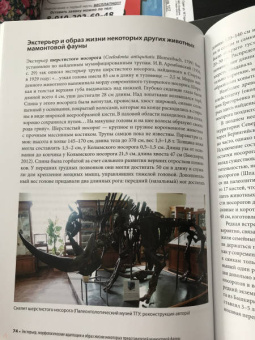 Андрей Шпанский: О мамонтах и их спутниках. Палеоэкология мамонтовой фауны